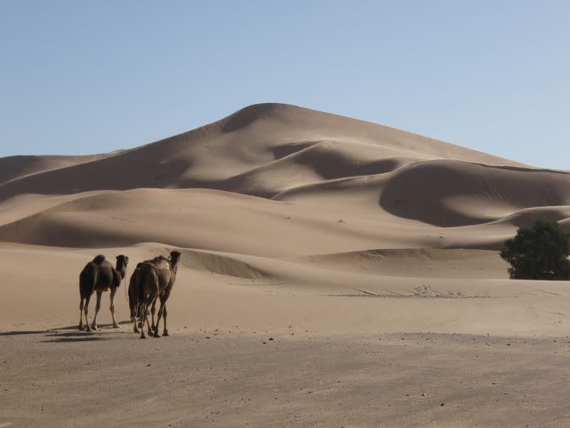 A view of the Lala Lallia star dune of the Sahara Desert