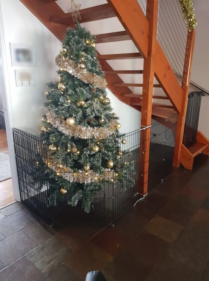 So sorgte eine Familie für einen sicheren Baum. Foto: Facebook