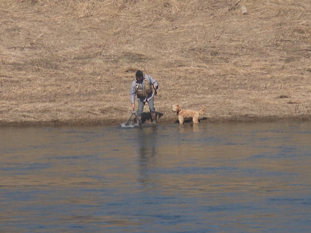 Fishing is closed at 29 salmon pools on the Miramichi River due to rising water temperatures. (Shane Fowler/CBC News - image credit)