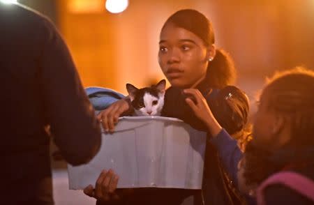 A resident and a cat are evacuated from the Taplow Tower residential block as a precautionary measure following concerns over the type of cladding used on the outside of the building on the Chalcots Estate in north London, Britain, June 23, 2017. REUTERS/Hannah McKay