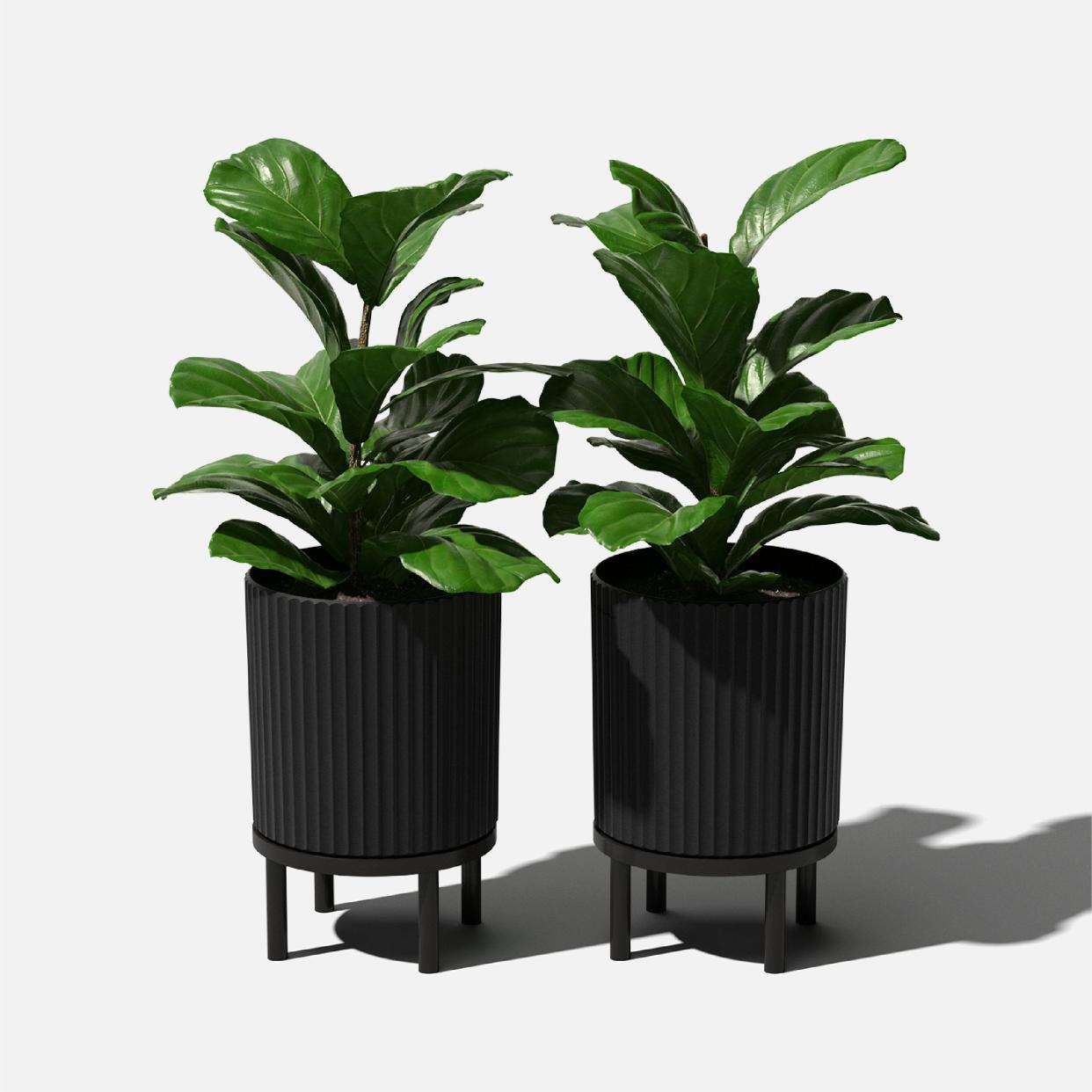 <p><a href="https://go.redirectingat.com?id=74968X1596630&url=https%3A%2F%2Fwww.jossandmain.com%2Foutdoor%2Fpdp%2Fdemi-series-planter-with-stand-ubgk1287.html&sref=https%3A%2F%2Fwww.countryliving.com%2Fshopping%2Fa60687221%2Fwayfair-way-day-sales-deals-2024%2F" rel="nofollow noopener" target="_blank" data-ylk="slk:Shop Now;elm:context_link;itc:0;sec:content-canvas" class="link rapid-noclick-resp">Shop Now</a></p><p>Planter with Stand</p><p>jossandmain.com</p><p>$50.00</p>
