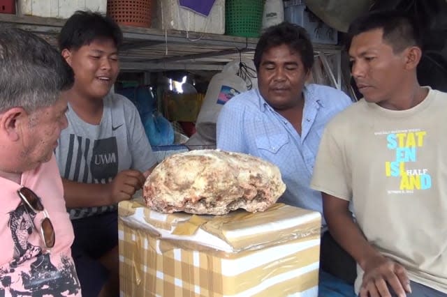 Fisherman finds 7kg piece of whale vomit that could sell for £170,000