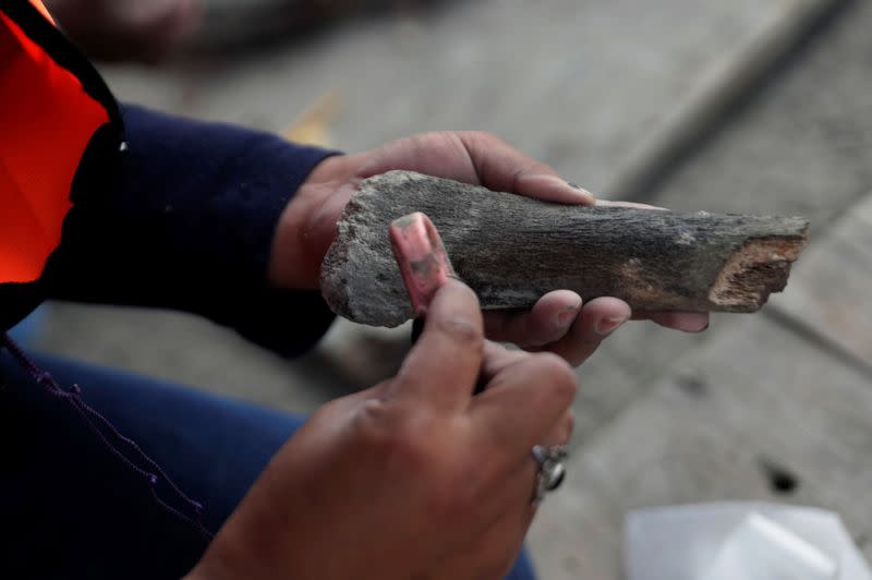 A worker of Mexico's National Institute of Anthropology and History (INAH) works at a site where more than 100 mammoth skeletons have been identified, along with a mix of other ice age mammals, in Zumpango