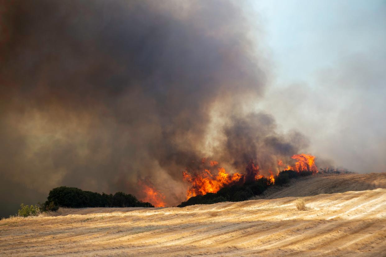 A fire burns fields, in Velestino, Magnesia prefecture, Greece (EPA)