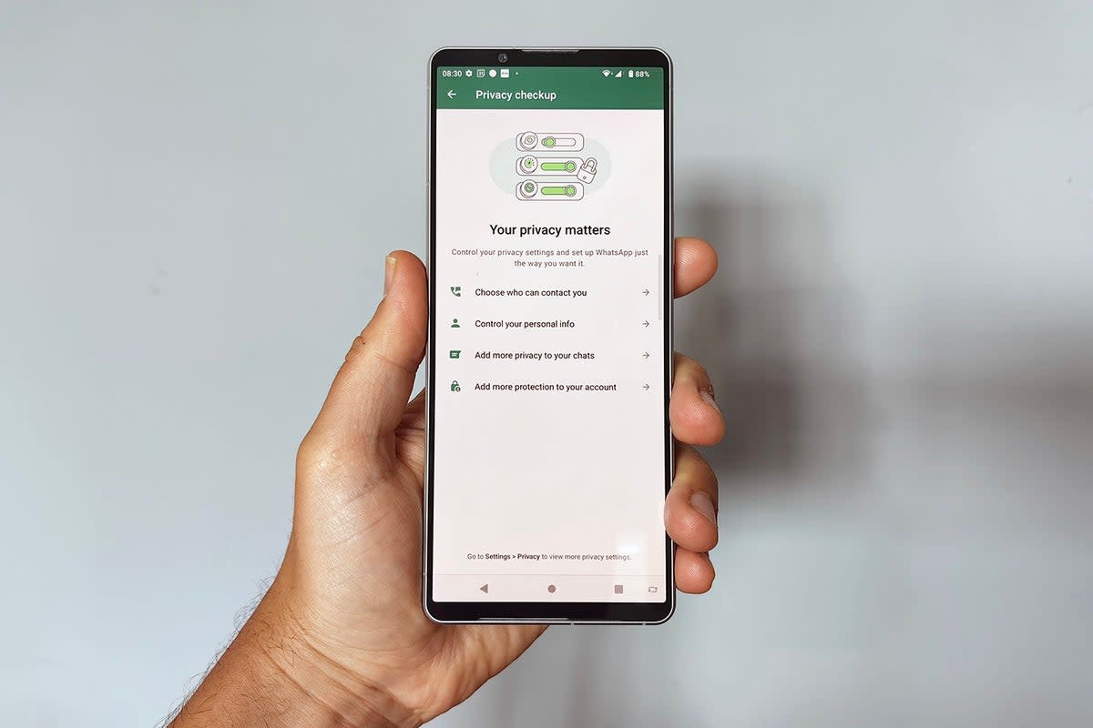 WhatsApp has also announced Privacy Checkup, a feature that runs through your privacy options within the app (Andrew Williams)