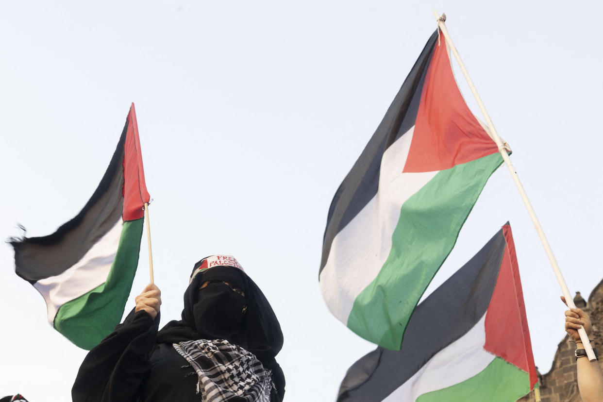 La reconnaissance de l’Etat palestinien par l’Irlande et l’Espagne et la Norvège : ce que ça change (Photo de manifestants pro-Palestine le 15 mai 2024)