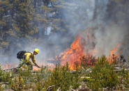 <p>A wildland firefighter works to contain the flames at the Buffalo Fire site Wednesday, June 13, 2018, near Silverthorne, Colo. (Photo: Hugh Carey/Summit Daily News via AP) </p>