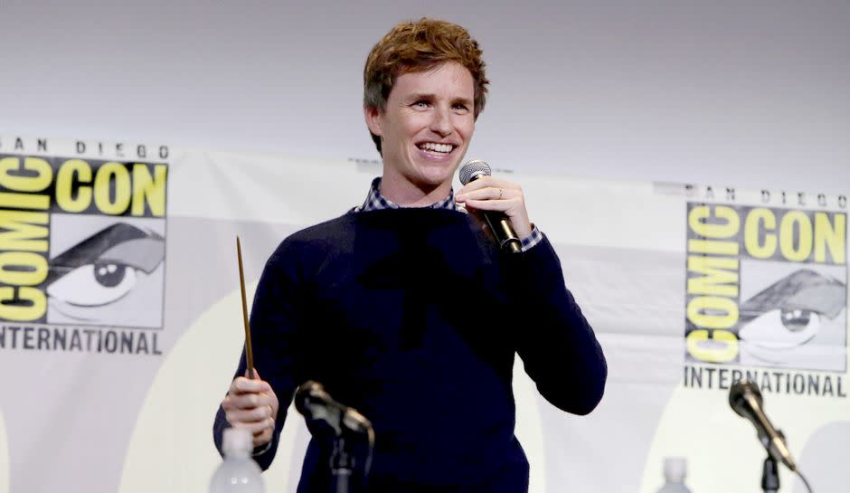 Eddie Redmayne Fantastic Beasts wand Cases From The Wizarding World game app