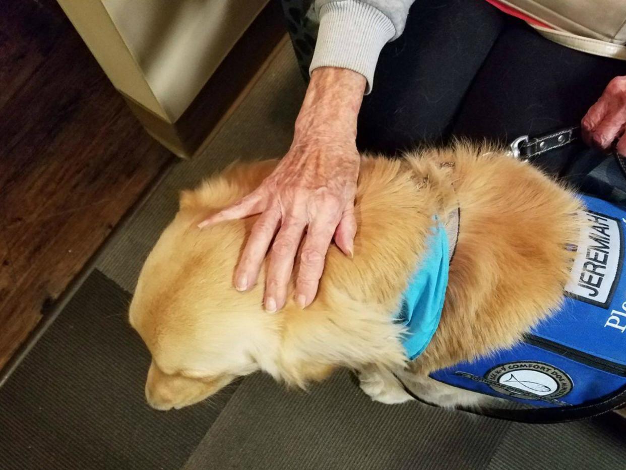 A therapy dog comforts someone in the aftermath of the deadliest mass shooting in modern US history in Las Vegas, Nevada: Lutheran Church Charities K-9 Comfort Dogs/Facebook