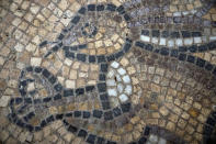 Elegantes detalles de un piso de mosaicos de la era bizantina en perfecto estado encontrado por un campesino palestino cuando plantaba un olivo en sus tierras en Bureij (Franja de Gaza). Foto del 5 de septiembre del 2022. (AP Photo/Fatima Shbair)