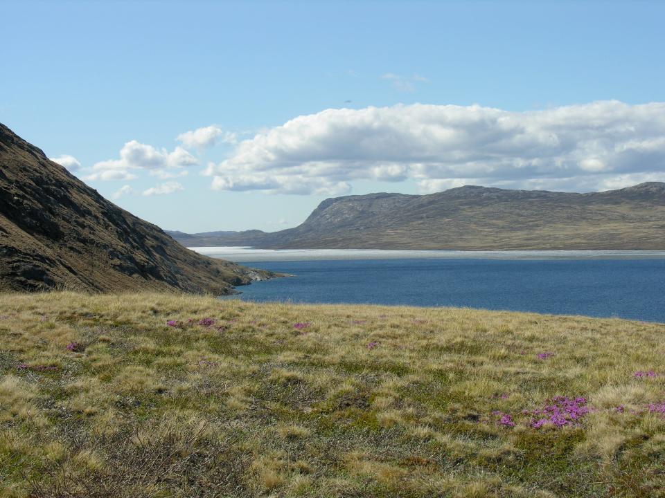 An excursion to the Russell glacier near Kangerlussuaq, Greenland, leads past several lakes. Greenland's ice sheet is quickly melting and giving way to vegetation.