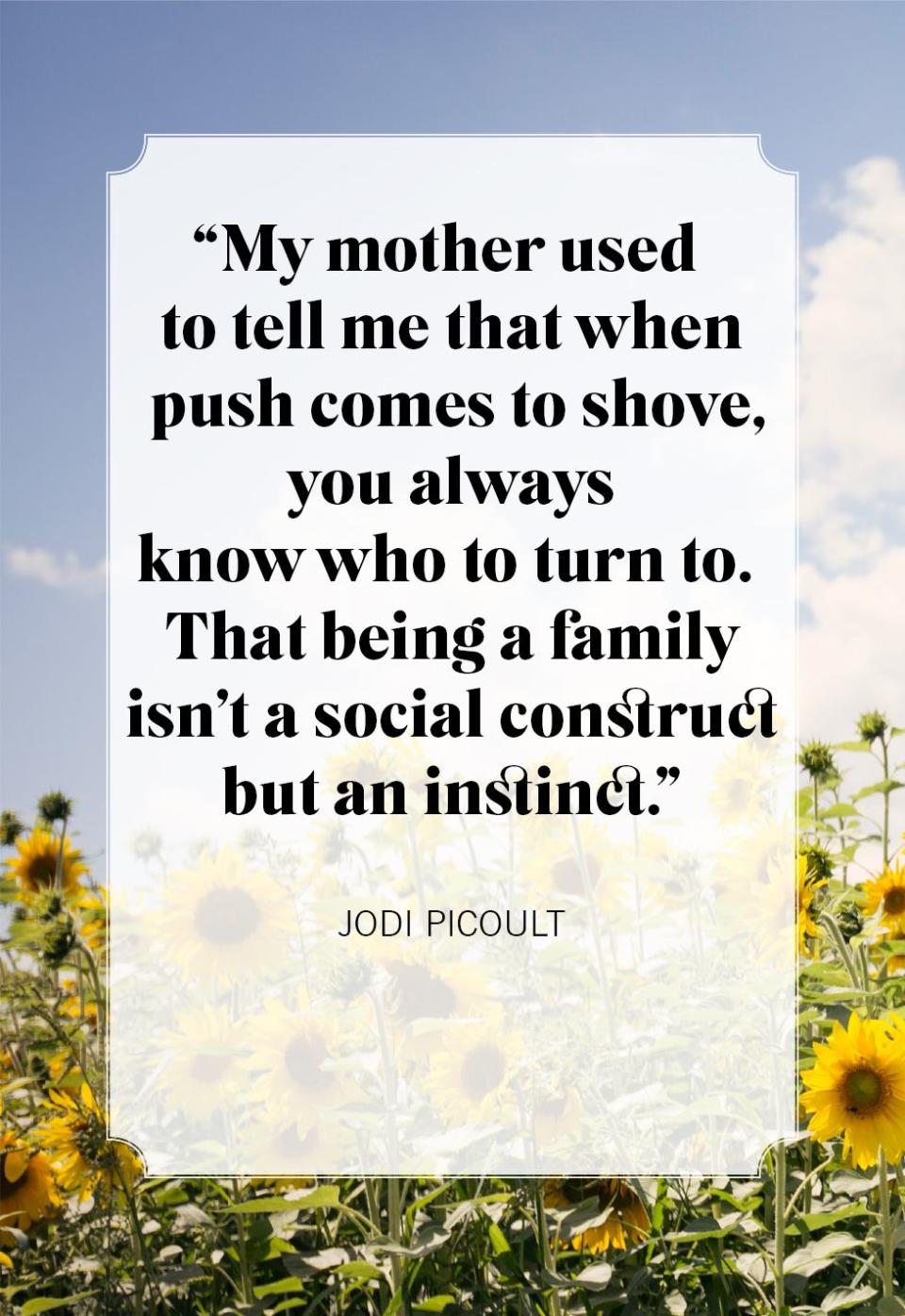 family quotes jodi picoult