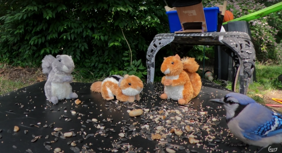 Stuffed squirrels stand on top of the last step of a Rude Goldberg machine after being showered with nuts and seeds.