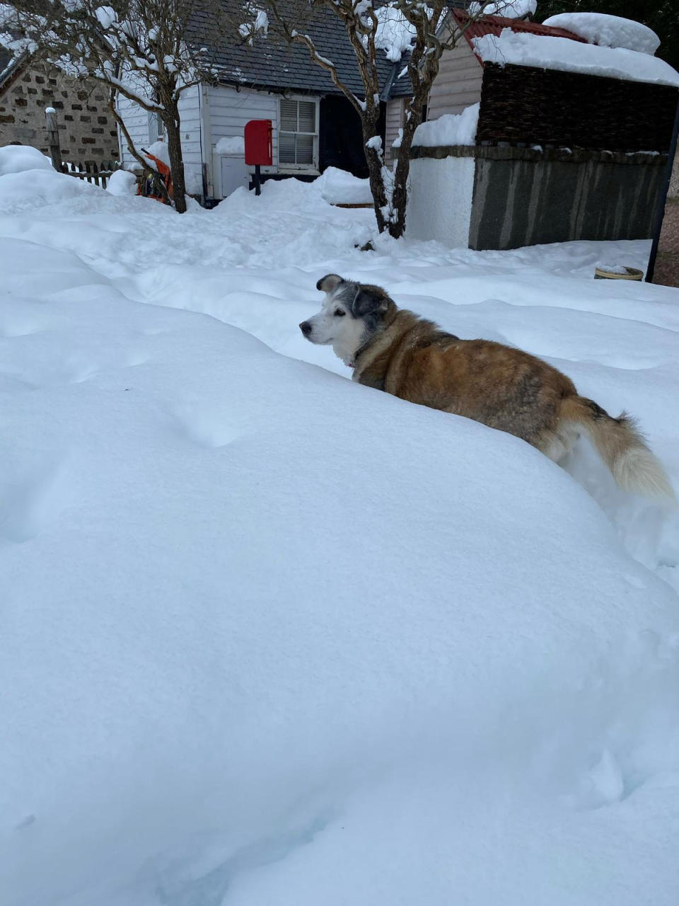 Banks of snow were said to be 70cm tall in some areas, or waist-deep, in Braemar as temperatures hit record lows. (SWNS)