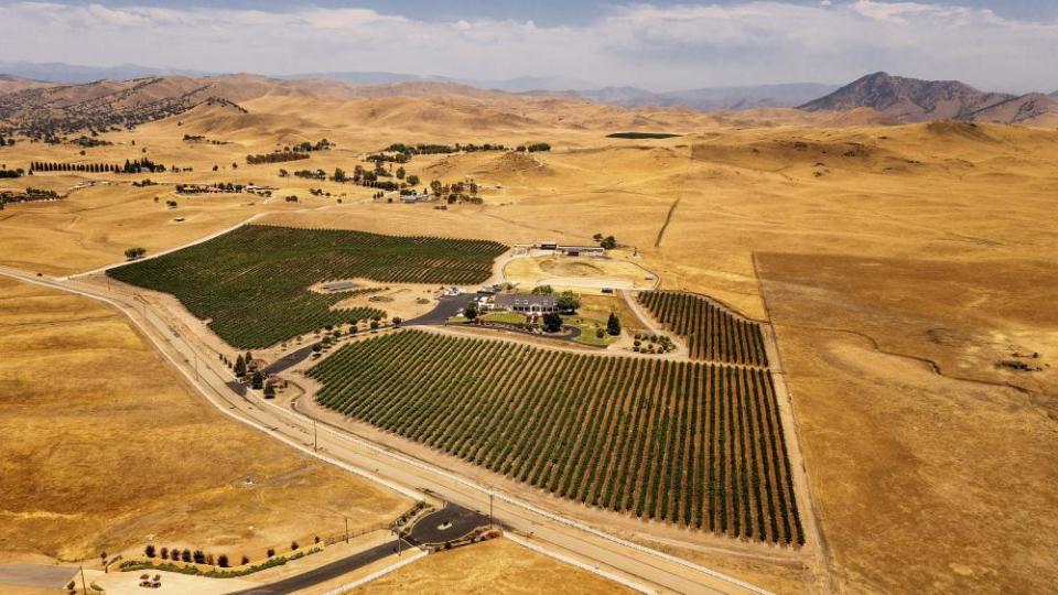 Crops sit amid a dry landscape near Fresno, California. Blistering temperatures have hit the region this week.