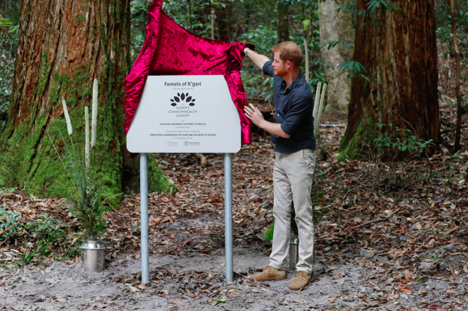 Prince Harry unveils a plaque for the Queen’s Commonwealth Canopy initiative. Photo: Getty