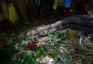 <p>Flowers and money are placed for rituals by the villagers near the carcass of an Asiatic elephant before it is buried in Sakrapani villager in South Kamrup district of Assam state, India, May 22, 2016. According to the local villagers the male elephant had an encounter with the local villagers few weeks back when he entered in to their village in search of food. The elephant died because of its injuries. (STR/EPA) </p>