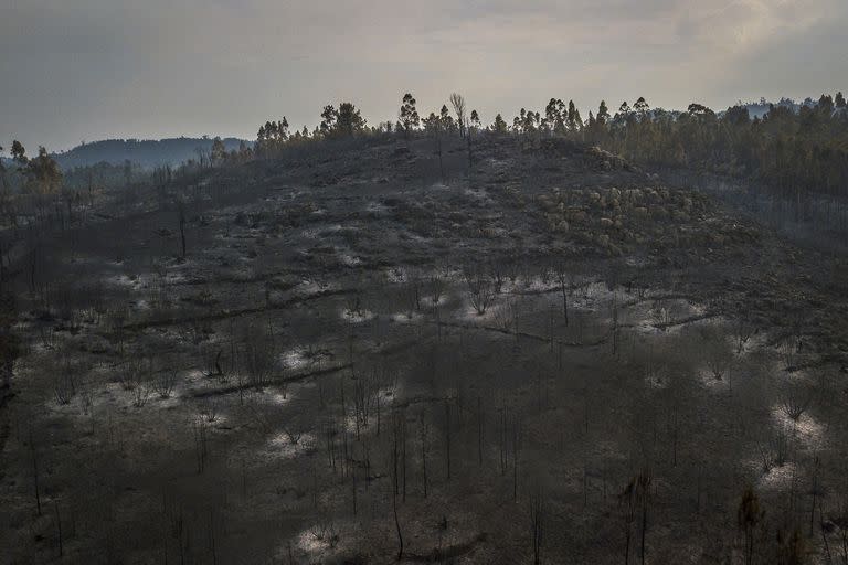 Fuego; incendios; Europa; España; Francia; Portugal; Mundo; ola de calor