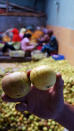 Manalagi: The chips making process is called Manalagi. The process start with sorting out the Batu's local apple variety. (