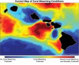 This image provided by the National Oceanic and Atmospheric Administration, shows a Sept. 22, 2019, map of coral bleaching conditions in Hawaii. Dark reds are locations that scientists say will experience widespread and severe coral bleaching. Green and yellow portions of the map indicate areas that will have have moderate coral bleaching. A marine heat wave has engulfed the islands and is expected to persist into October. (NOAA via AP)
