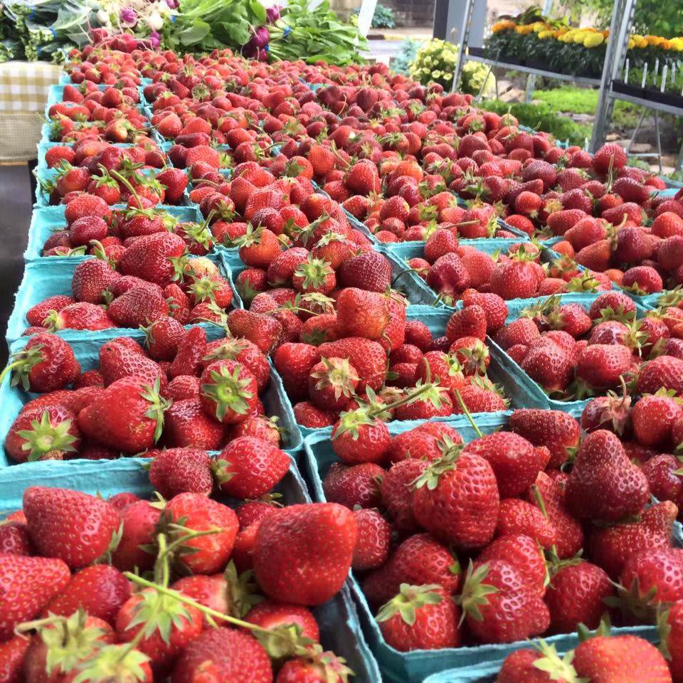 West Virginia: Morgantown Farmers' Market