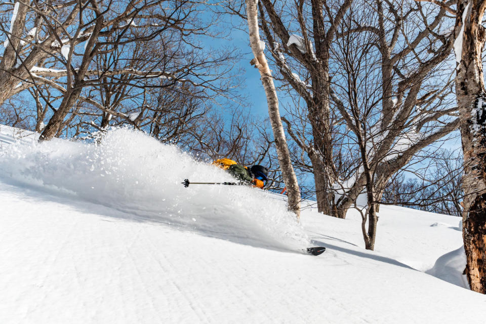 Coccia in the Niseko backcountry.<p>Photo: Curtis Devore</p>