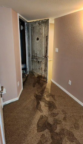 door is completely covered in black mold