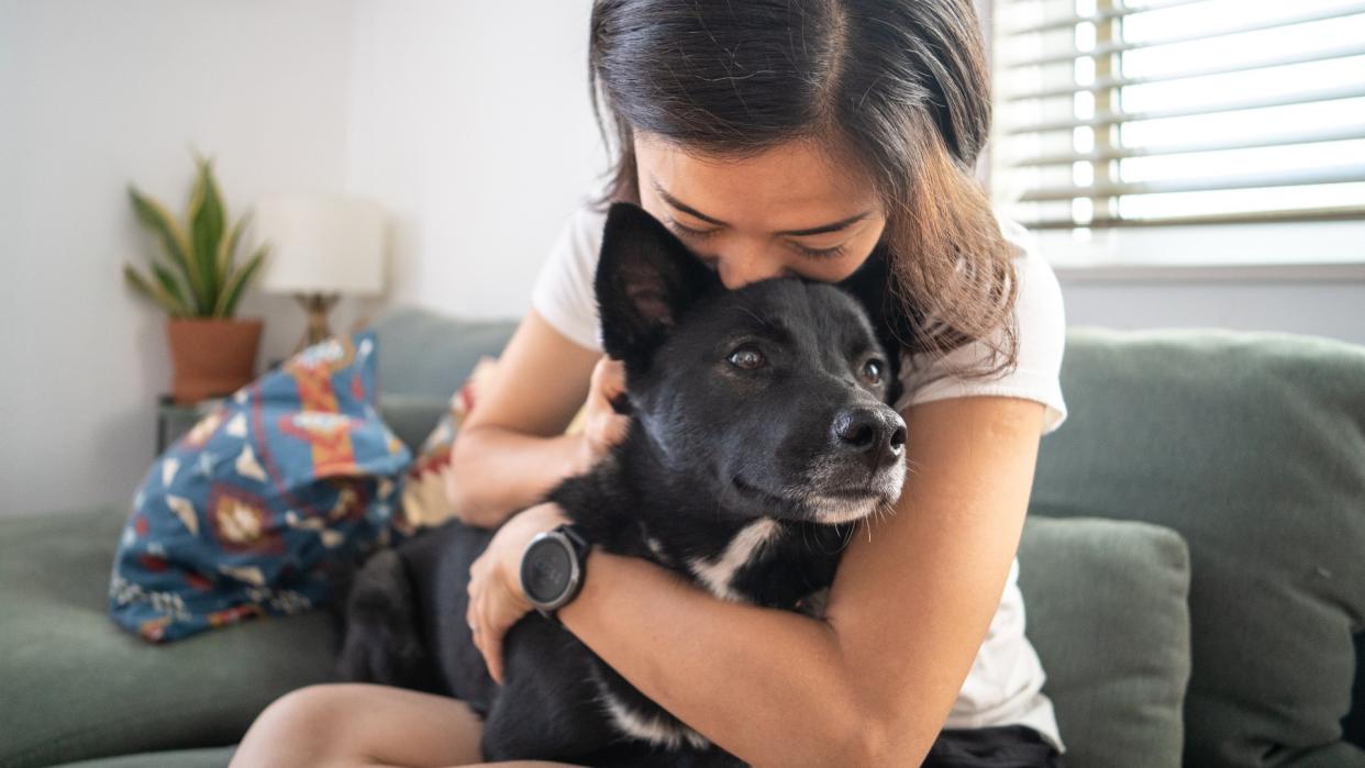  Young woman hugging dog on living room sofa 