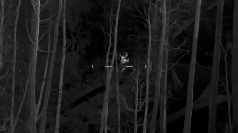 Thermal imaging camera shows a girl, 5, wandering in the woods alone. The Hillsborough County Sheriff's Office rescued the girl approximately half of a mile from where she wandered off from.