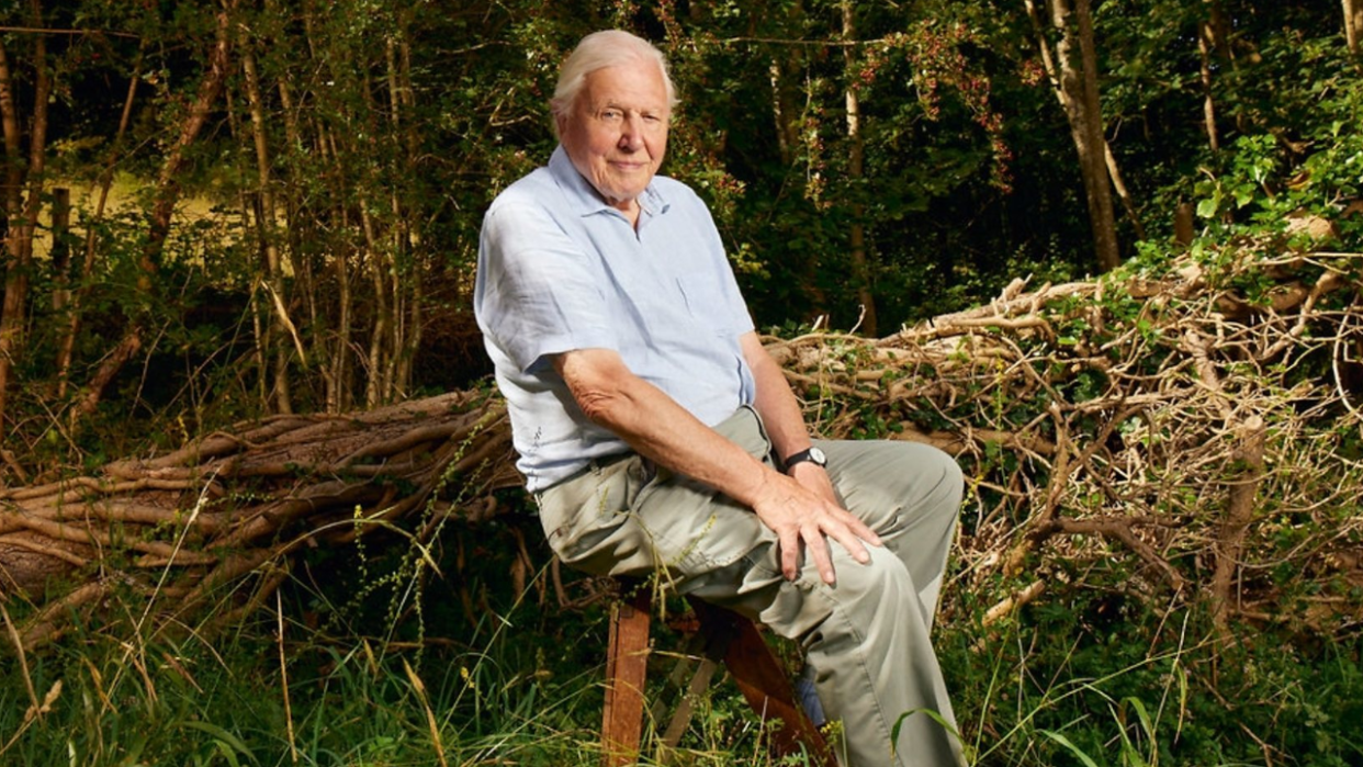  Portrait of David Attenborough for Planet Earth 3. 