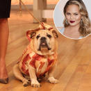<p><span>Of course, Chrissy Teigen dresses up her pets for Halloween. In 2015, Puddy was <a rel="nofollow noopener" href="https://www.instagram.com/p/9YtofnJjTd/" target="_blank" data-ylk="slk:a strip of bacon;elm:context_link;itc:0;sec:content-canvas" class="link ">a strip of bacon</a>. </span>(Photo: Instagram/Chrissy Teigen) </p>