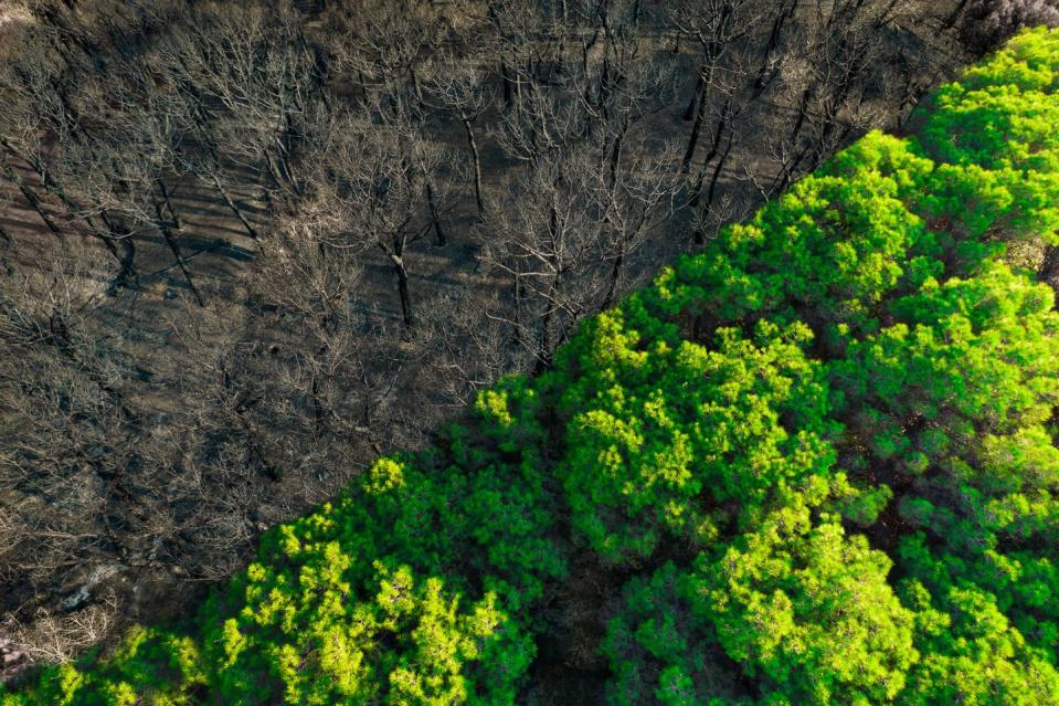 before and after drone picture of devastating wildfire