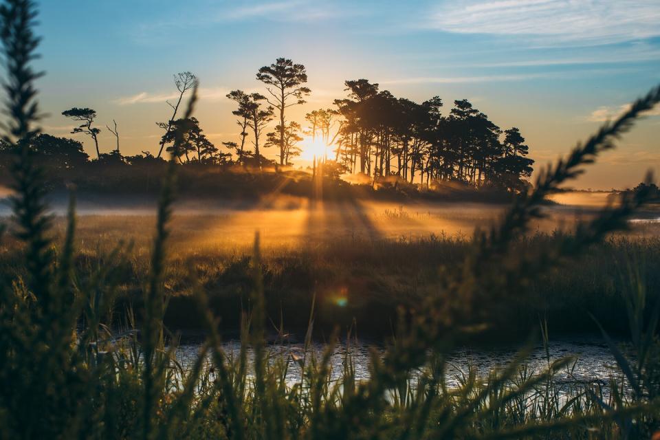 Sunrise on Chincoteague National Wildlife Refuge cuts rays of light through a low fog.