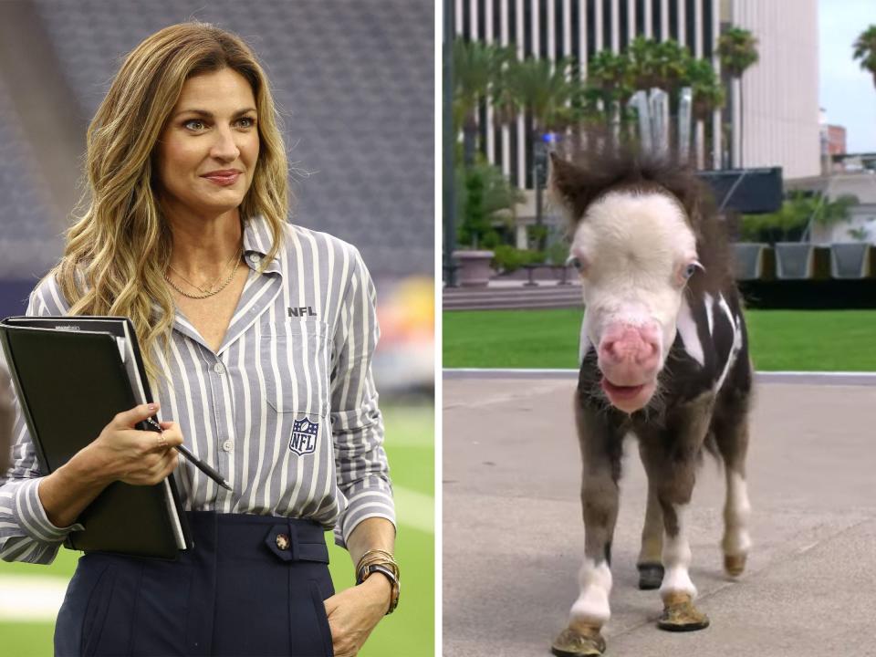 Erin Andrews befriended a miniature horse.