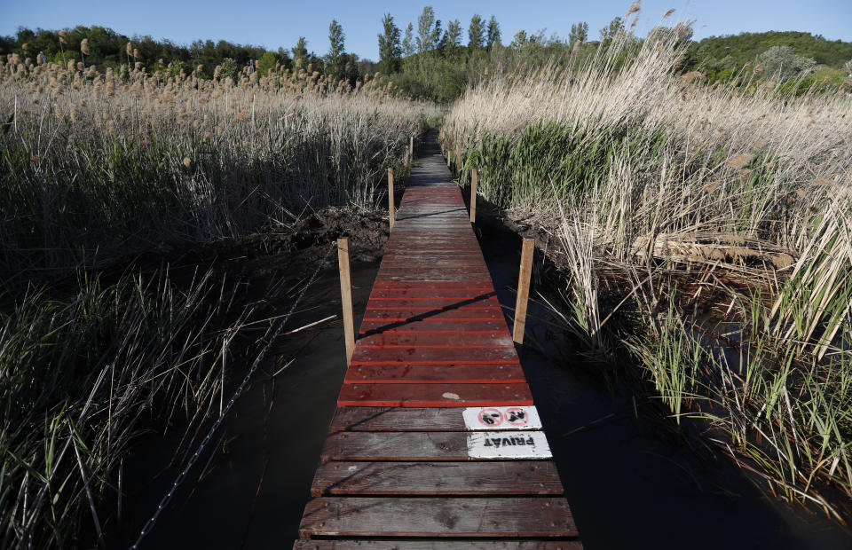 A pier surrounded by reeds in Balatonkenese, Hungary on May 18, 2021. Lake Balaton is the largest lake in Central Europe and one of Hungary's most cherished natural treasures. But some worry that the lake's fragile ecosystem and the idyllic atmosphere of the quaint villages dotted along its banks are in danger because of speculative developments. (AP Photo/Laszlo Balogh)