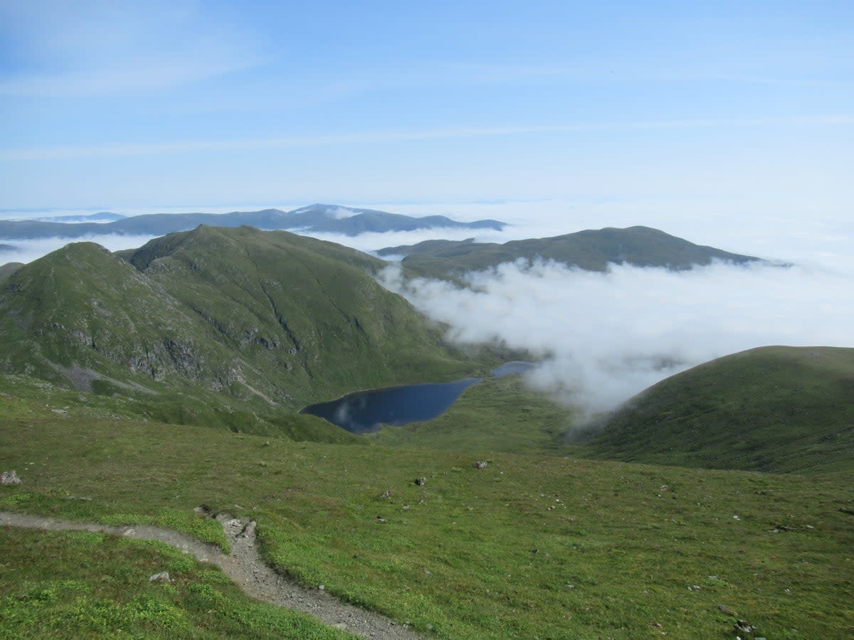 Plants on a Scottish mountain range could become extinct due to climate change, scientists at the University of Stirling have warned (Sarah Watts/University of Stirling)