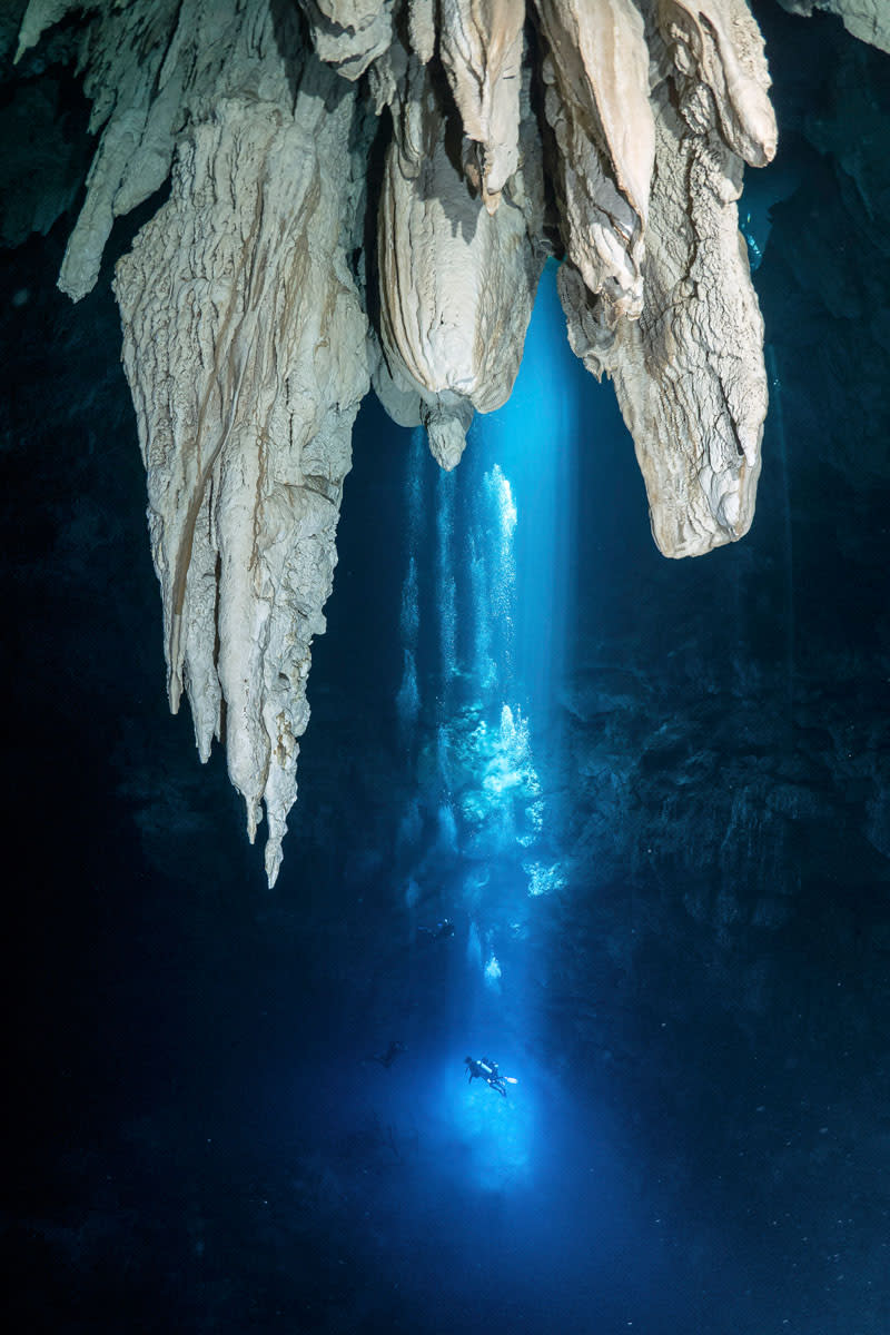 Beam me up! Beeindruckende Unterwasseraufnahmen