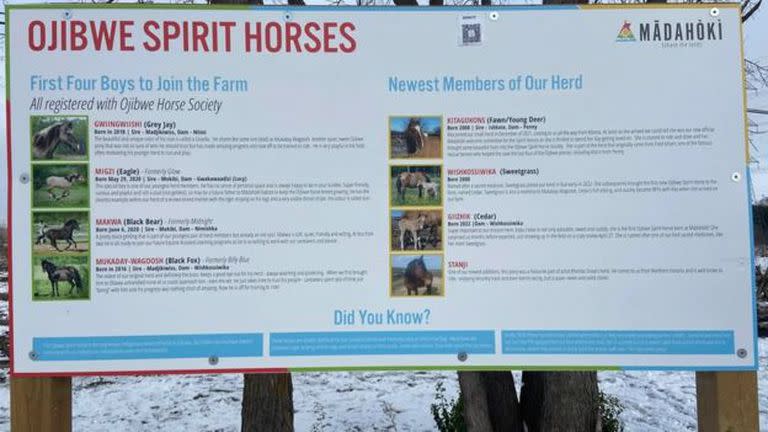 Los caballos se incorporan a los programas de intercambio cultural y educación de la granja.