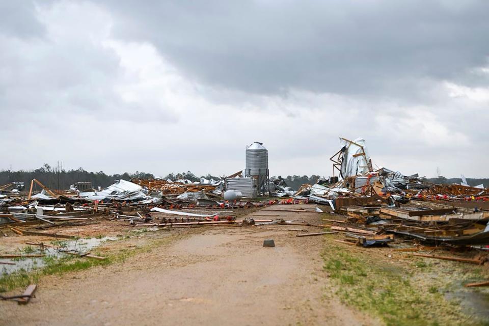 A chicken farm off Strengthford Cooley Road in Wayne County, Mississippi, sustained extensive damage on St. Patrick's Day after a tornado touched. Forecasters believe more severe weather is expected Wednesday with the potential for massive tornadoes, downpours and hail the size of tennis balls.