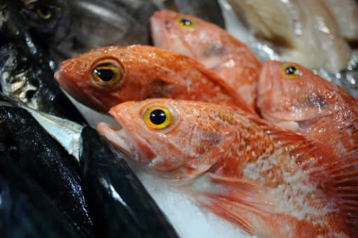 Red mullet is underappreciated in Britain, Barange said
