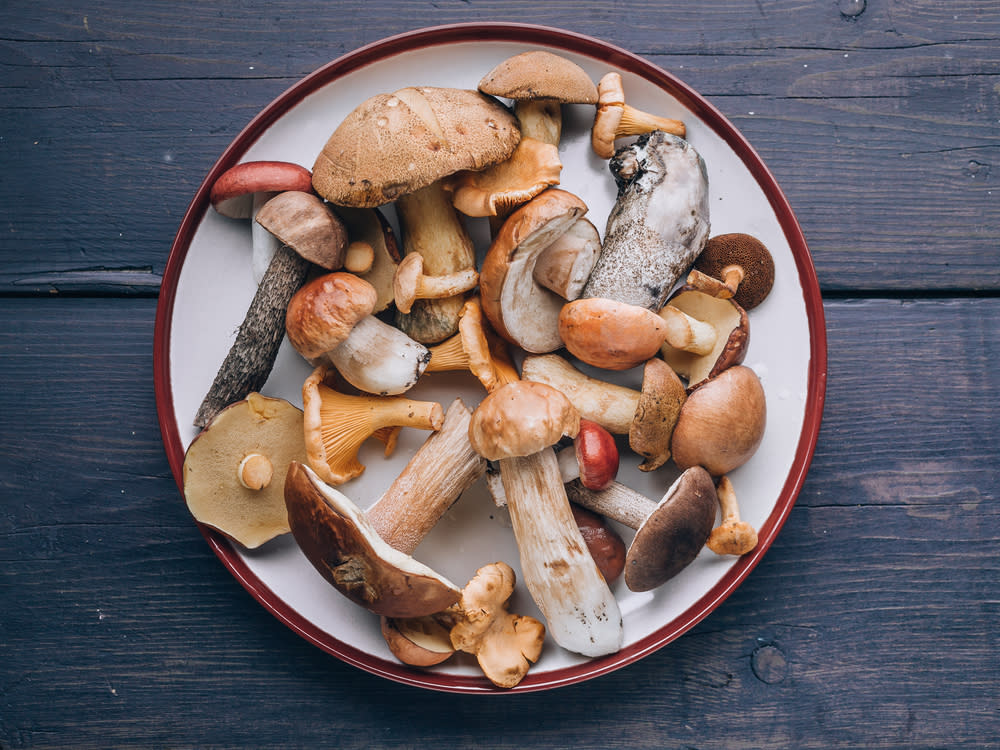 Viele Pilz sehen sich zum Verwechseln ähnlich. (Bild: Yusev/Shutterstock.com)