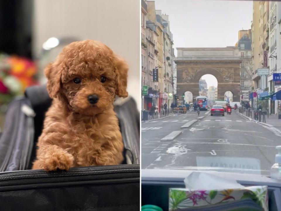 Frankie Grande's dog, left, and a photo from Jennifer's recent trip to Paris, right.