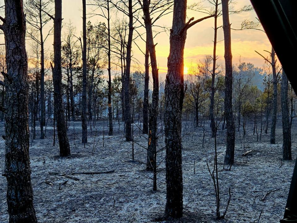 A 830-acre wildfire ripped through central Wisconsin on July 10, 2023.