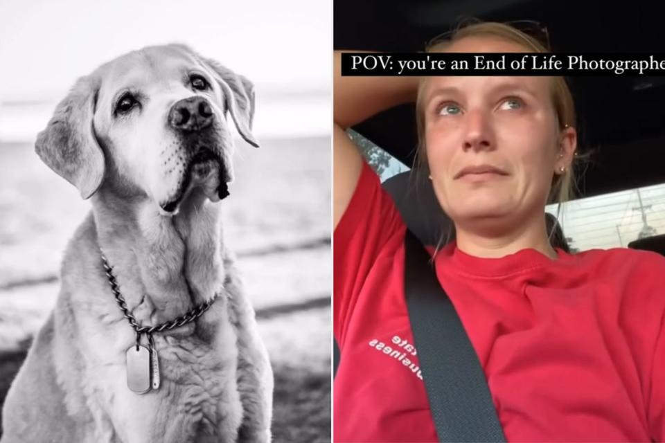 <p>Mandy Rae Pierce/Tiktok</p> Mandy Ray Pierce, an end-of-life dog photographer 