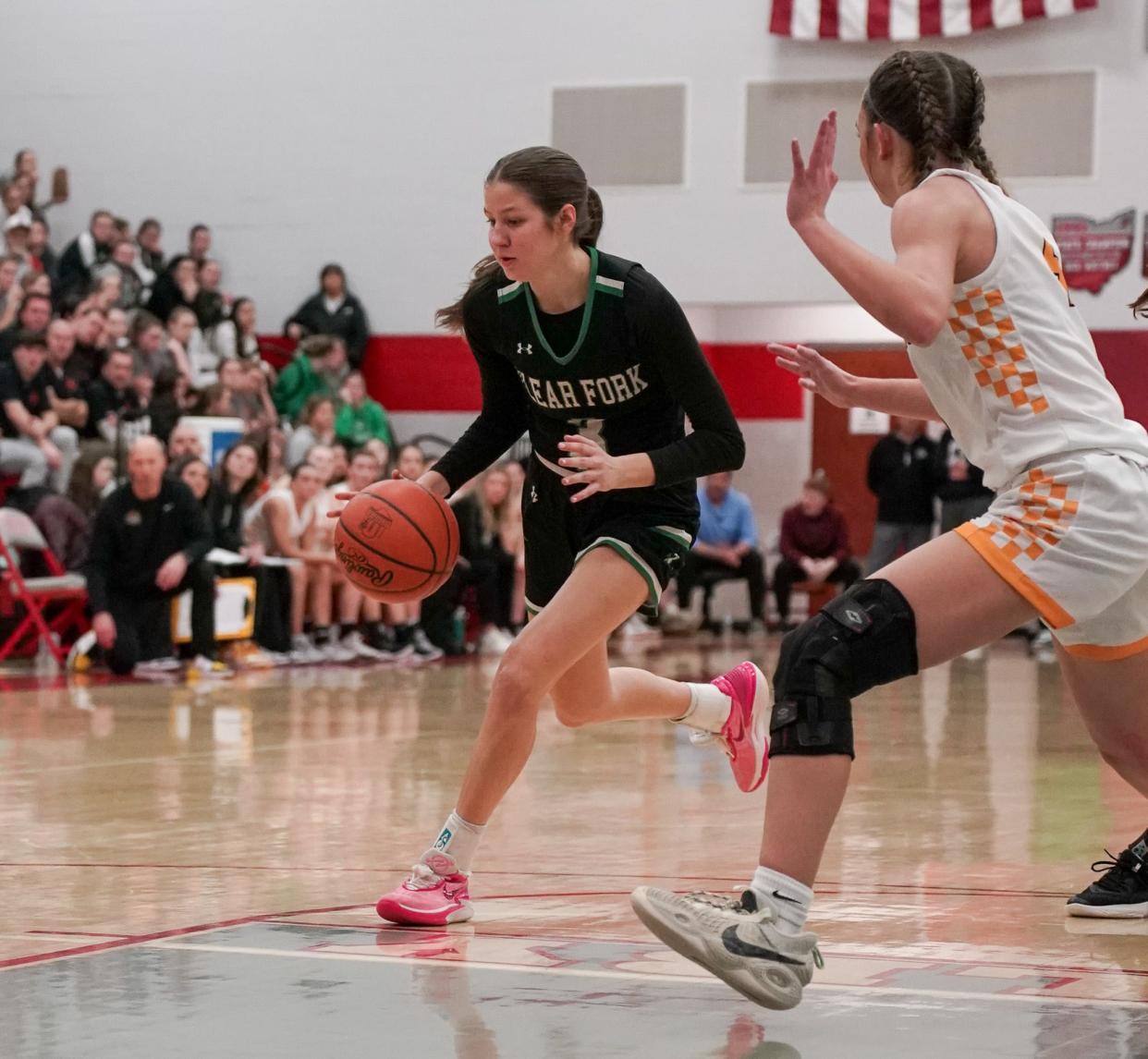 Clear Fork's Mel Blubaugh earned special mention All-Ohio honors in Division III for the 2023-24 season.