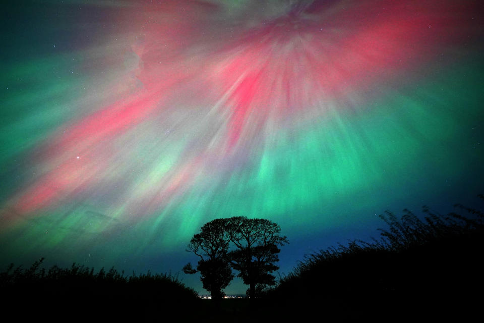 Aurora Borealis lights up the night sky above silhouetted trees, creating a stunning natural display