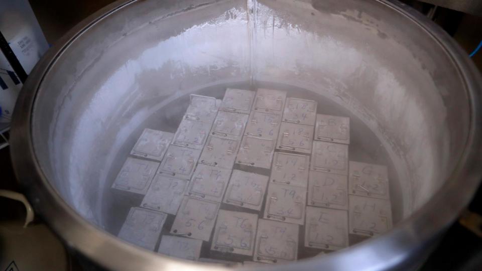 PHOTO: In this Oct. 2, 2018, photo, containers holding frozen embryos and sperm are stored in liquid nitrogen at a fertility clinic in Fort Myers, Fla. The Alabama Supreme Court ruled Feb. 16, 2024, frozen embryos can be considered children under law. (Lynne Sladky/AP, FILE)