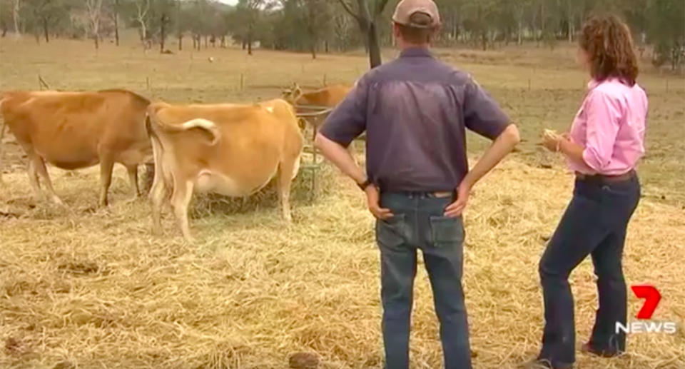 The family have been able to diversify their farm but acknowledge not everyone is in that position. Source: Tommerup’s Dairy Farm/ Facebook