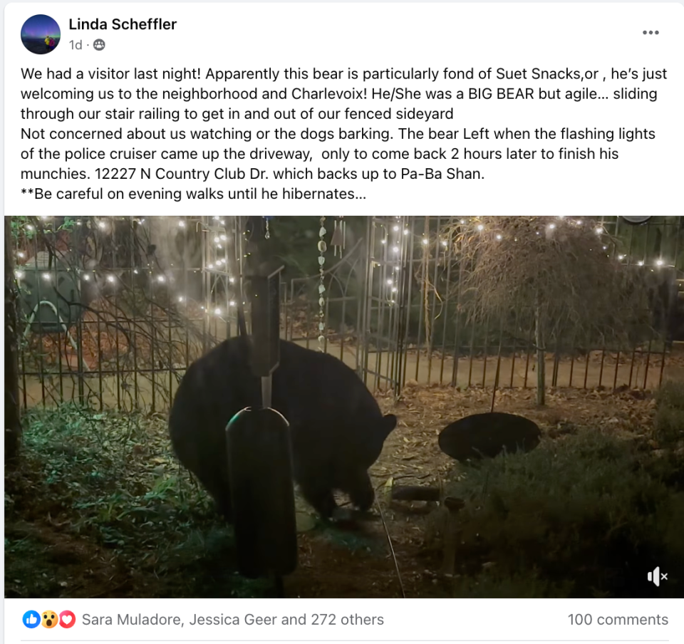 Linda Scheffler posted about her encounter on a popular Charlevoix community Facebook page. She received an outpouring of comments providing opinions about what to do when you find a bear in your backyard.