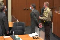 Murder trial of former Minneapolis police officer Derek Chauvin